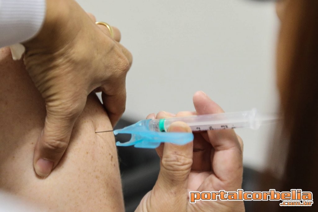 Campanha de vacina contra a gripe termina nesta terça-feira