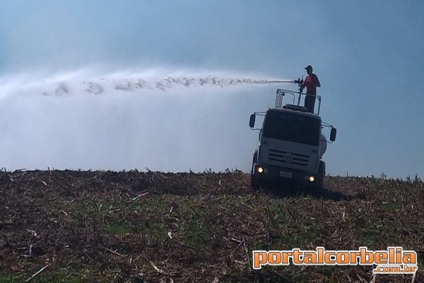 Rompimento de cabos elétricos causam incêndio em lavoura