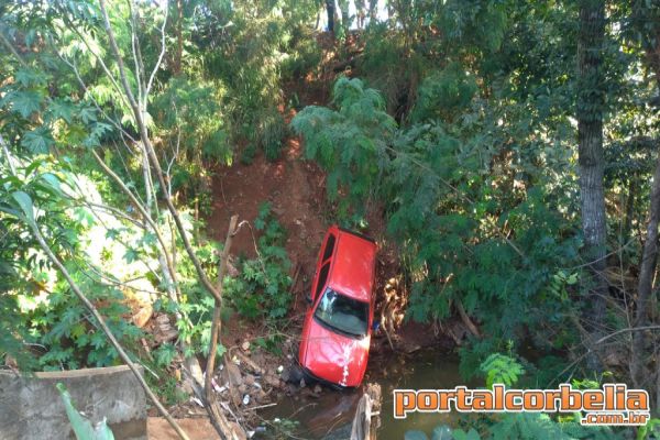 Gol cai em ribanceira após perder controle