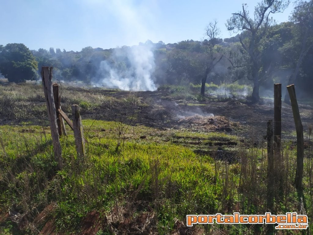 Equipe da Defesa Civil combate incêndio em vegetação