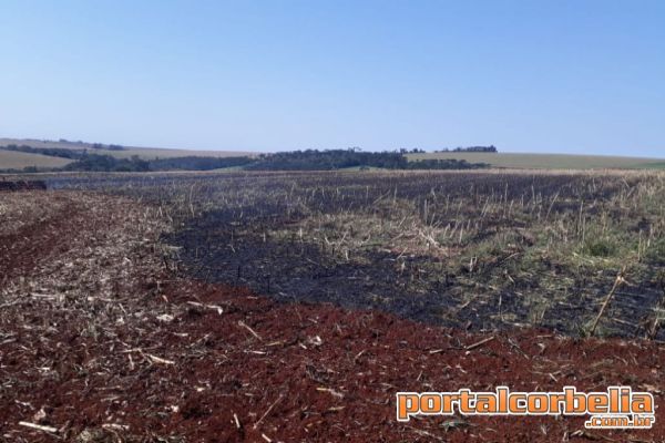 Agentes da Defesa Civil Combatem incêndio em lavoura