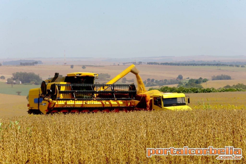 Safra de verão deverá chegar a 24,3 milhões de toneladas