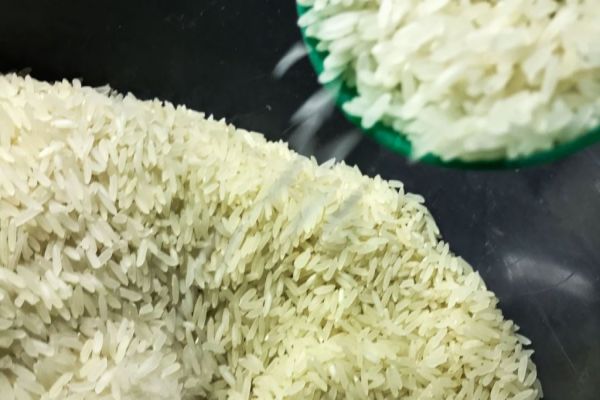 Governo define critérios para cota de importação de arroz