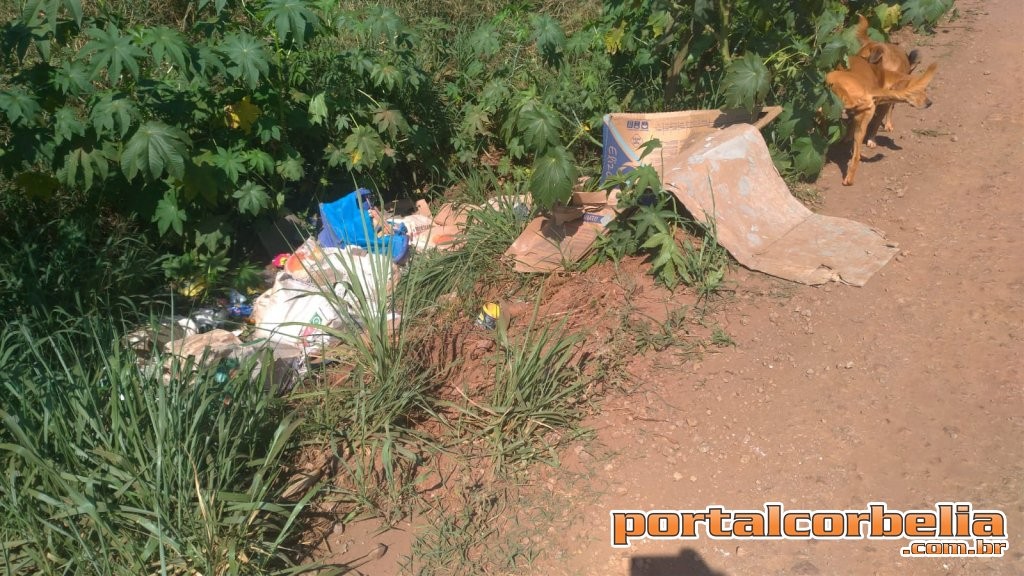 Moradores de área rural denunciam descarte irregular de entulhos