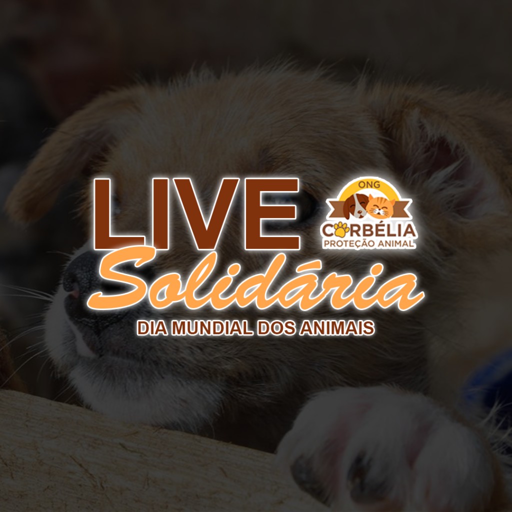 Está no ar a LIVE Solidária da ONG Proteção Animal