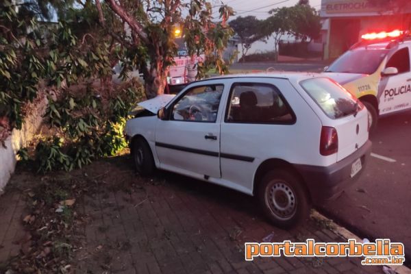 Veículo atinge árvore após perder controle na Avenida Santa Catarina