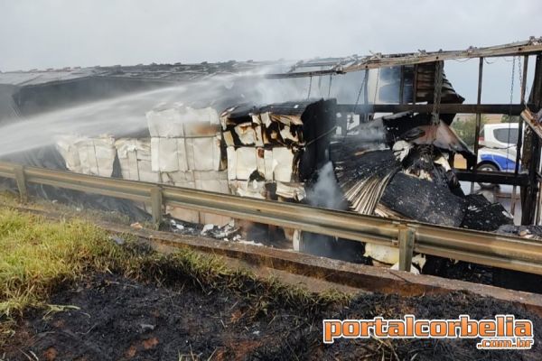 Carreta tomba e tem carga incendiada 