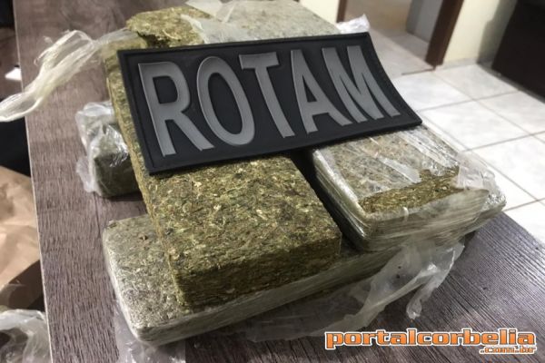 Rotam apreende mais de 3.5kg de maconha em ônibus