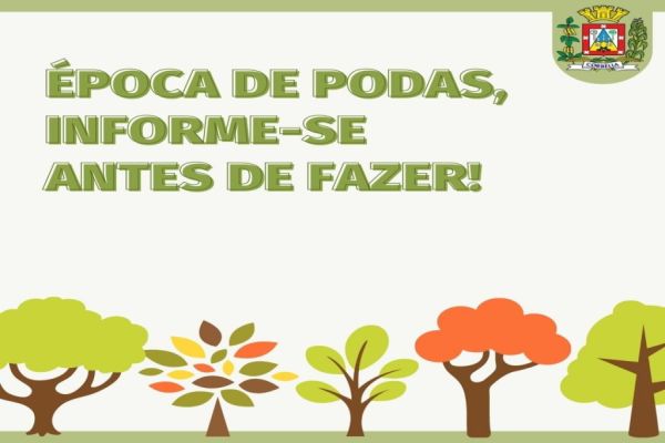 Podas em árvores, informe-se antes de fazer!