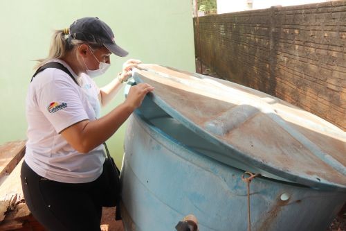 Cafelândia entra em epidemia de Dengue