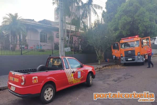 Incêndio a residência é registrado na rua Rosa