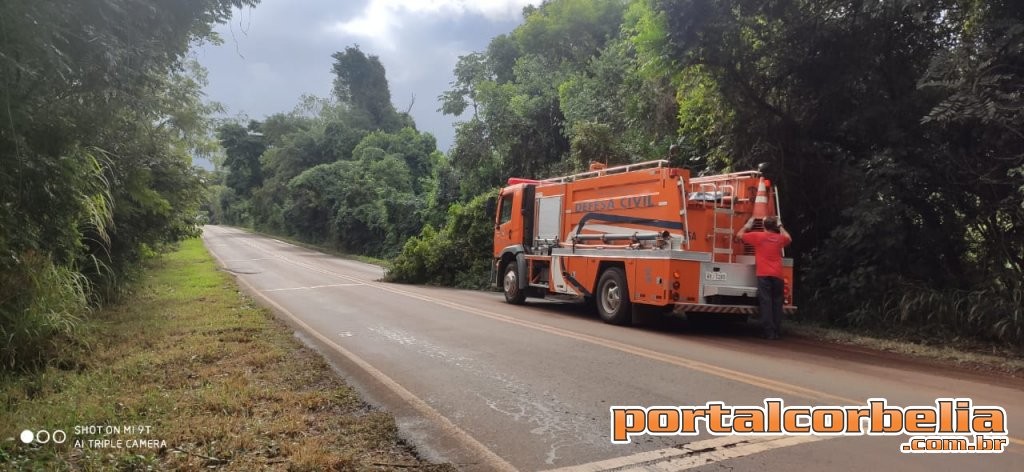 Defesa Civil faz retirada de árvore sobre a pista na PR574