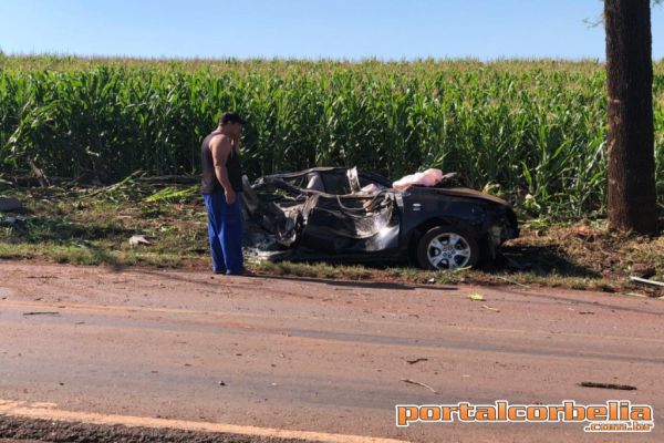 Carro parte ao meio após colidir contra árvore na PR574