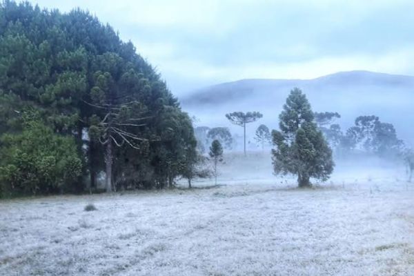 Massa de ar polar causa frio intenso no Paraná na próxima semana