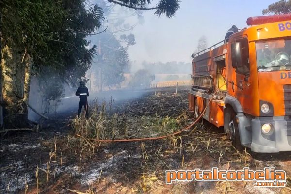 Após mais de 5 horas de combate, incêndio é controlado em Anahy