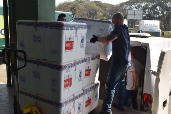 Estado distribui 445.388 vacinas contra a Covid-19 e 49.750 medicamentos para intubação; veja divisão