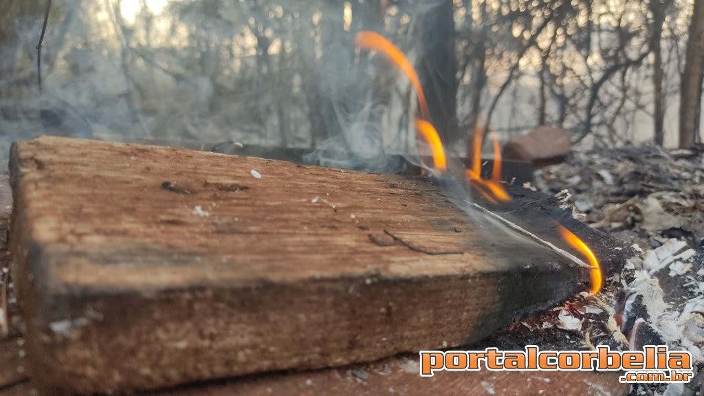 Defesa Civil controla incêndio na comunidade Colônia Nova