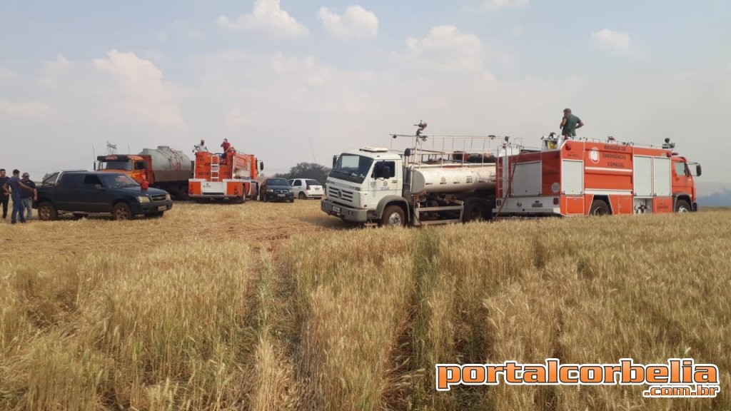 Equipes trabalham mais de 7 horas para controlar incêndio em Ouro Verde