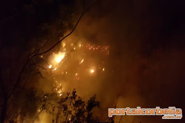 Dois incêndios são registrados em menos de 24 horas em Anahy