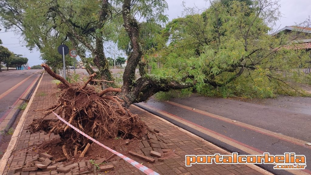 Temporal causa estragos em Corbélia e região