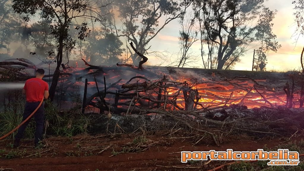 Defesa Civil combate incêndio às margens da PR573