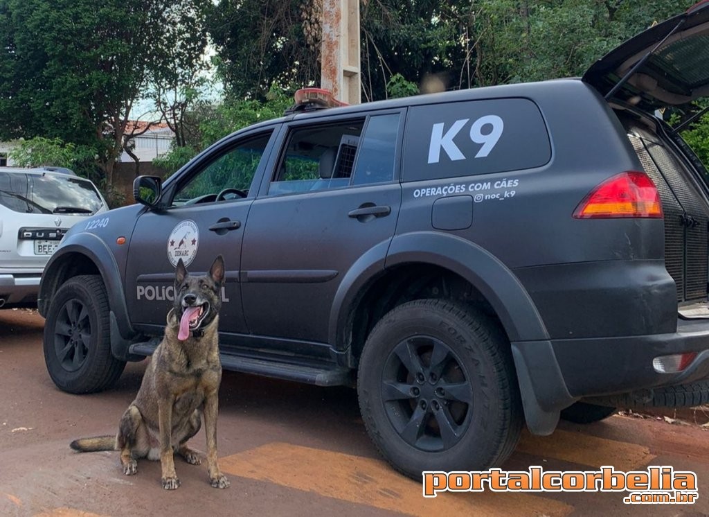 Casal é preso por tráfico de drogas na Penha em Corbélia