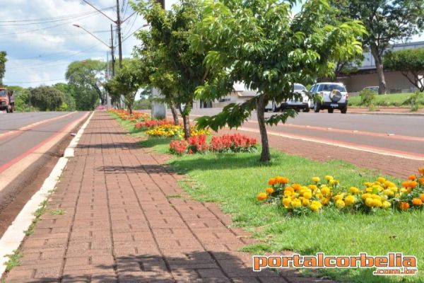 Plantio de flores deixa Corbélia ainda mais bonita 
