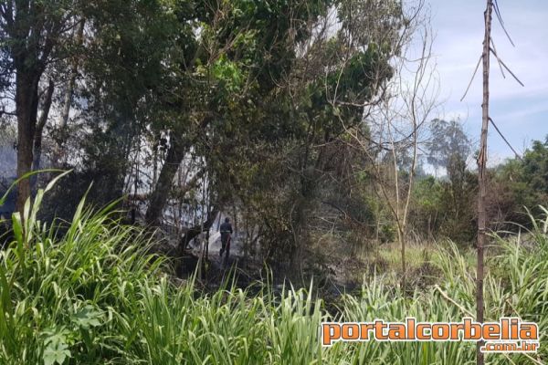 Defesa Civil combate incêndio em vegetação