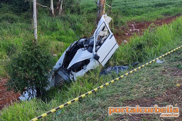 Fiorino atinge árvore após condutor perder o controle na BR369