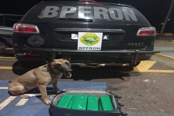 BPFRON apreende droga em ônibus na cidade de Corbélia