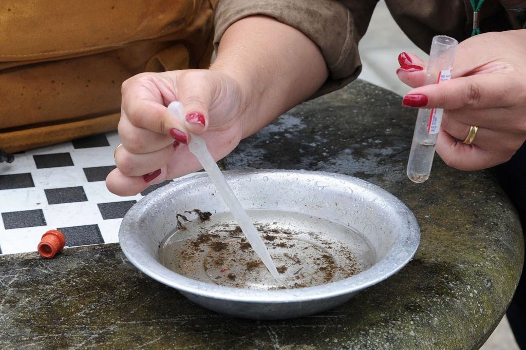 Com aumento de casos, Paraná declara epidemia de dengue