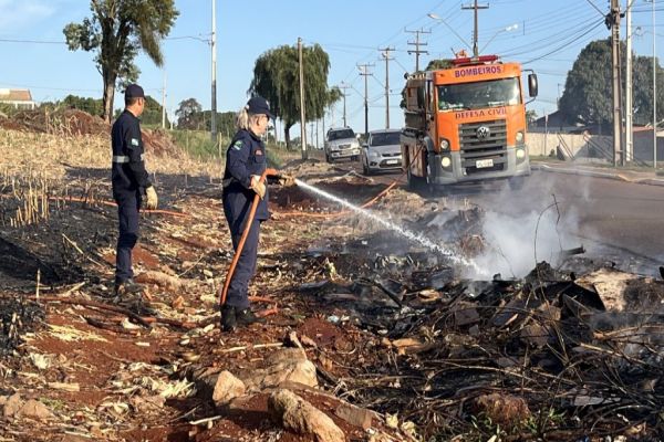 Defesa Civil combate incêndio a vegetação na rua Copo de Leite