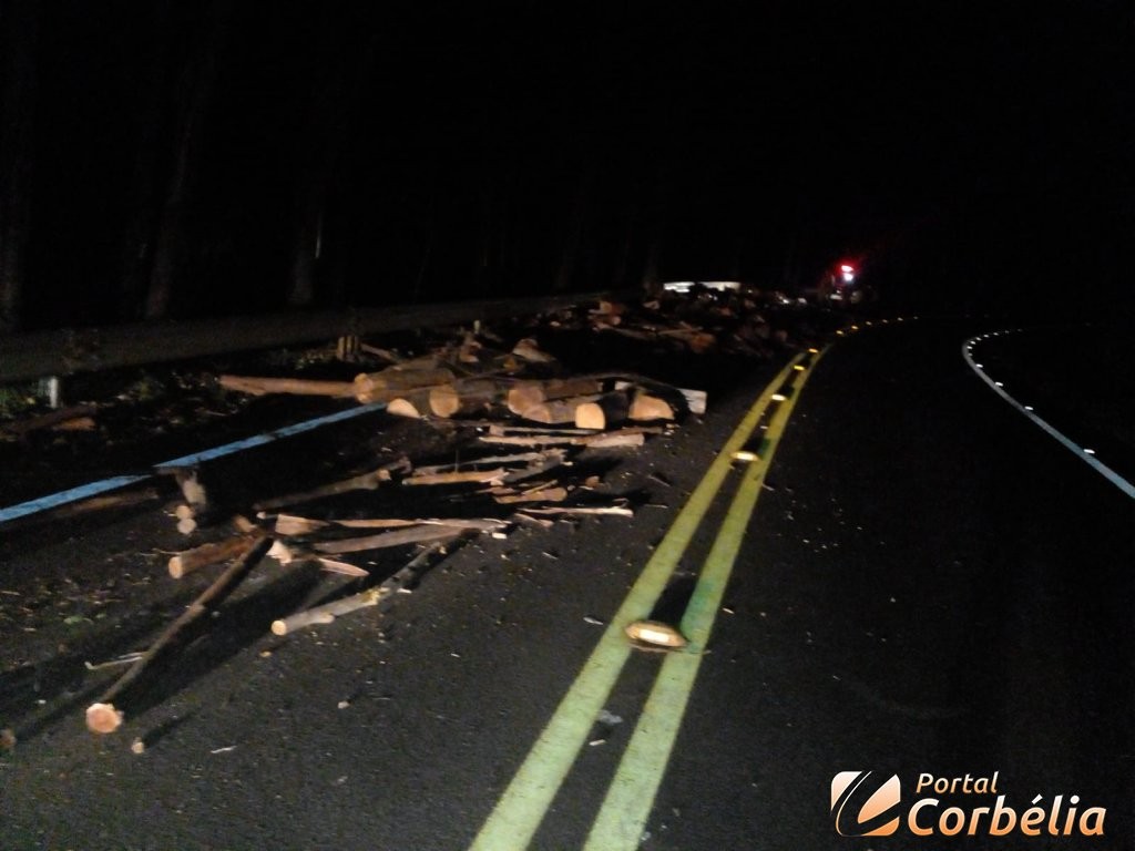 Carga de lenha cai sobre a pista e causa transtornos na PR573