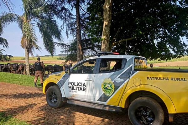 Em 90 dias, Operação Segurança Rural prende mais de 100 pessoas e apreende 32 armas