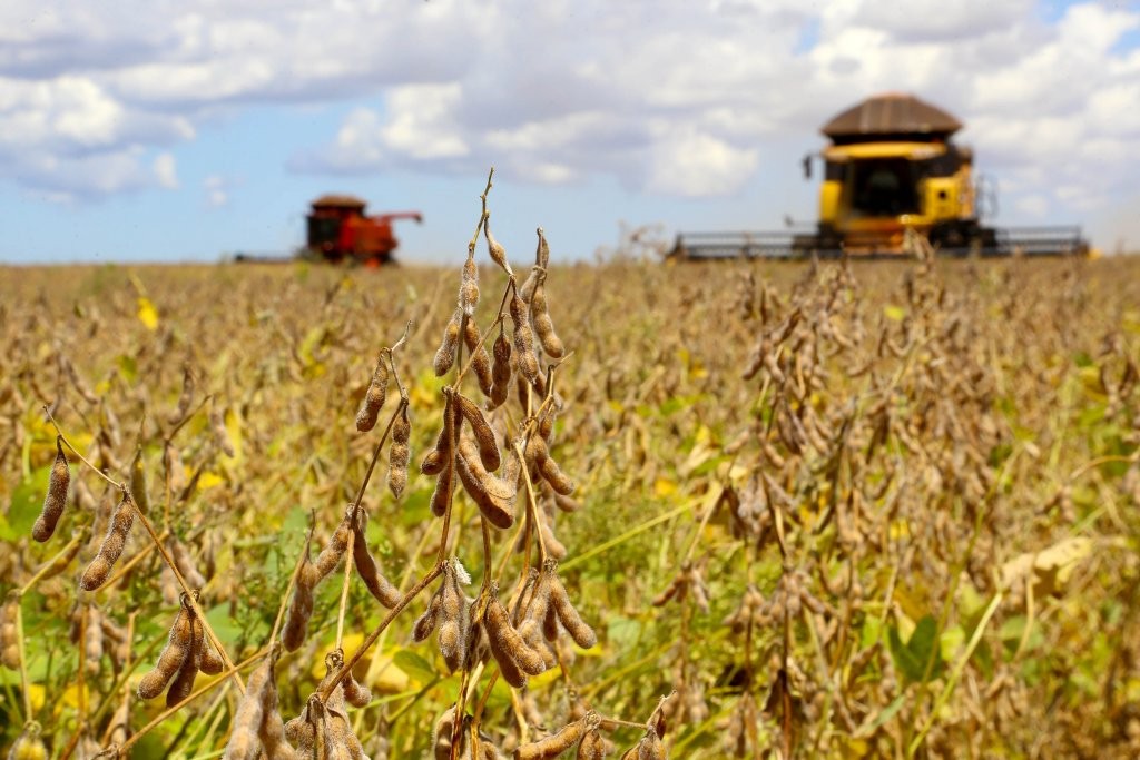 Plantio de soja avança no Paraná e chega a 15% da área esperada, aponta Deral