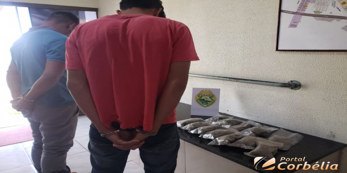 Polícia Militar faz apreensão de drogas na BR369