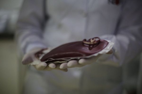 Dia do Doador de Sangue: Hoesp utiliza mais de 300 bolsas de sangue/mês