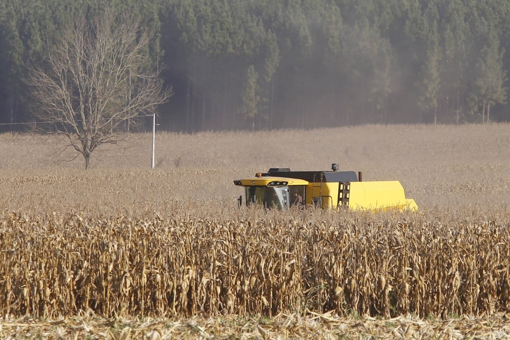 Apesar do clima, agropecuária do Paraná manteve alto rendimento em 2022