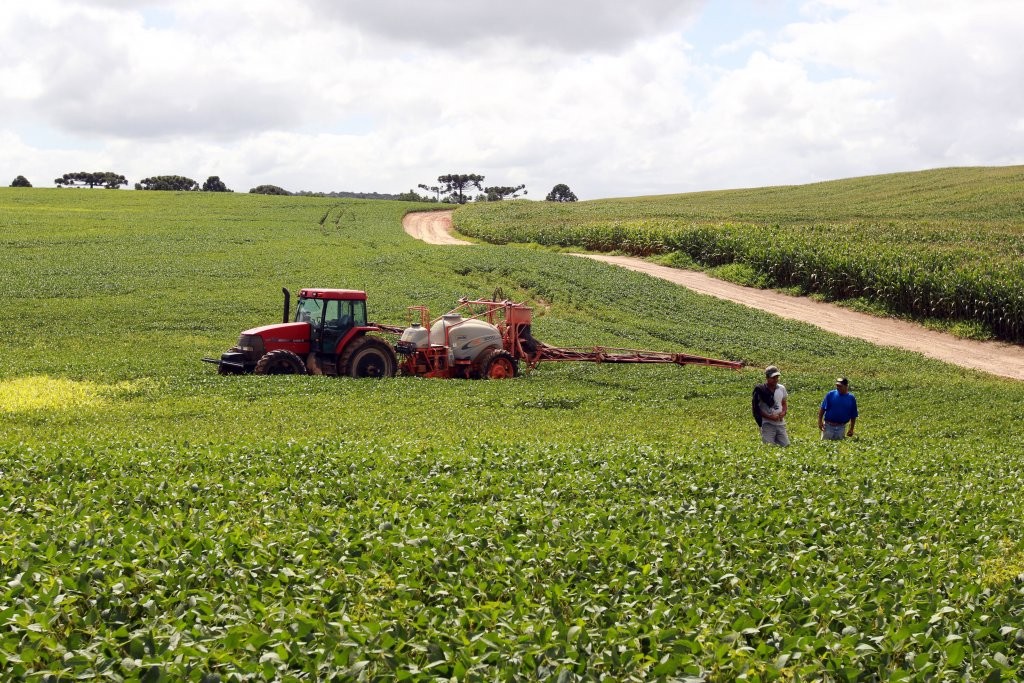 Safra de verão deve alcançar 24,7 milhões de toneladas no Paraná