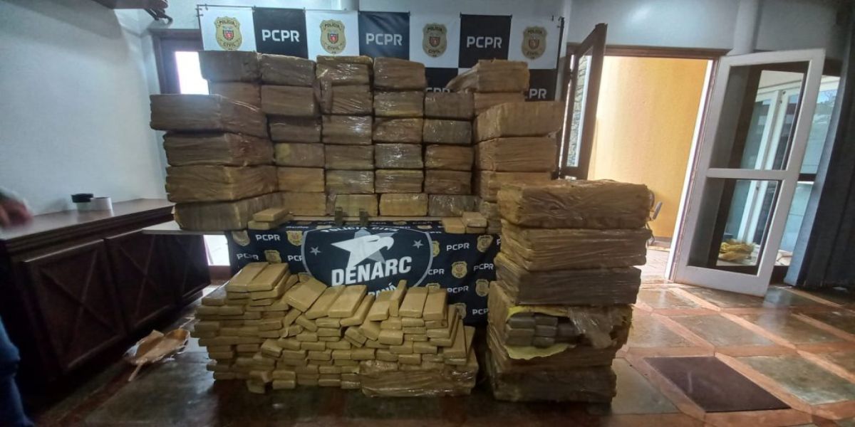 Denarc faz apreensão de 1084kg de maconha na BR-369