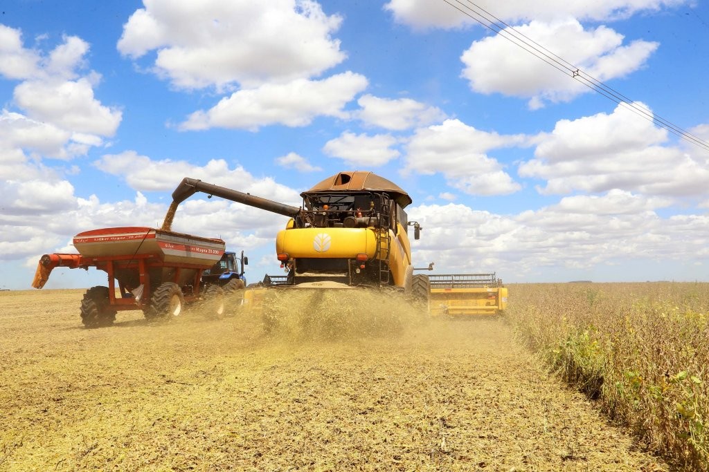 Colheita da soja evolui de 17% para 30% na última semana no Paraná