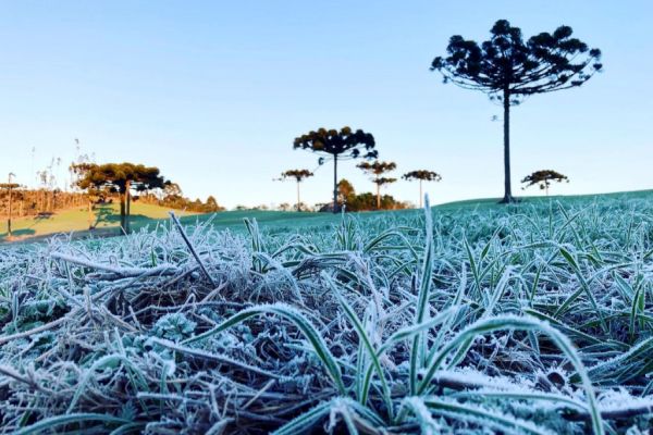 Simepar prevê inverno com poucas ondas de frio, veranicos, nevoeiros e geadas