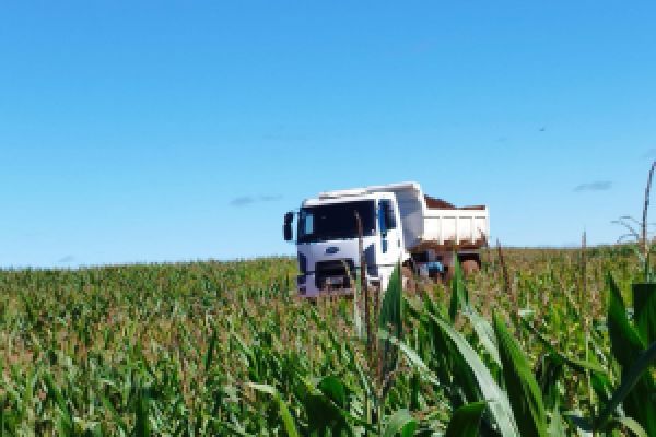 Corbélia fortalece setor agropecuário com criação da Secretaria de Agricultura