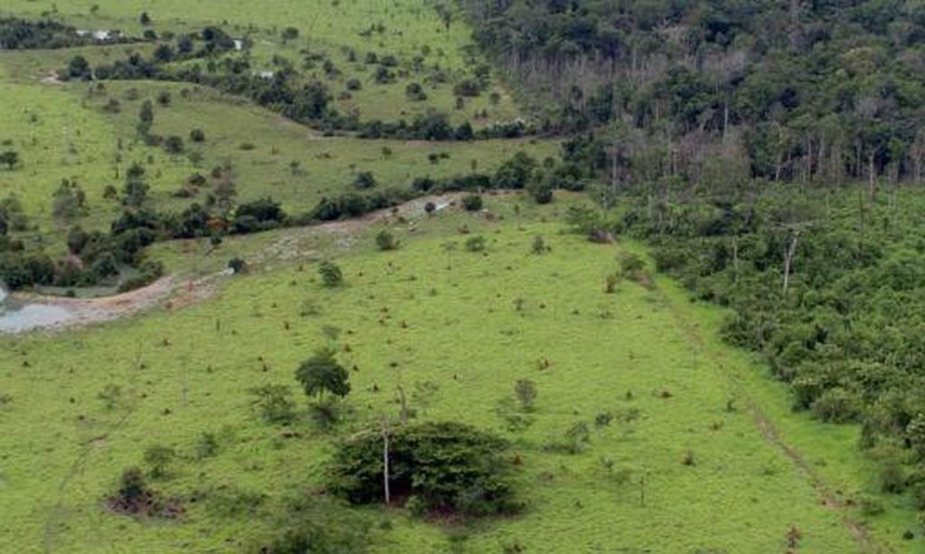 Aberto o prazo para entrega da Declaração do Imposto Territorial Rural