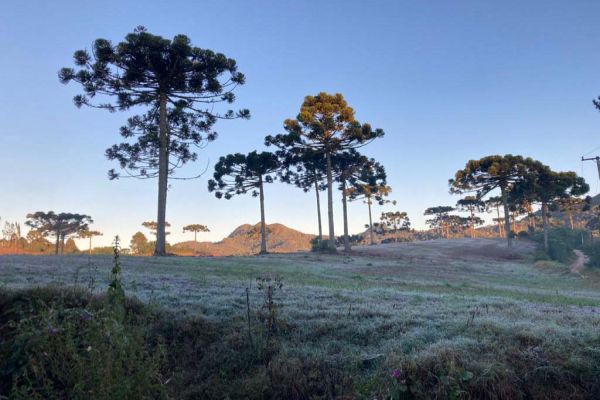 Com a chegada da primavera, IDR-Paraná e Simepar encerram Alerta Geada 2023