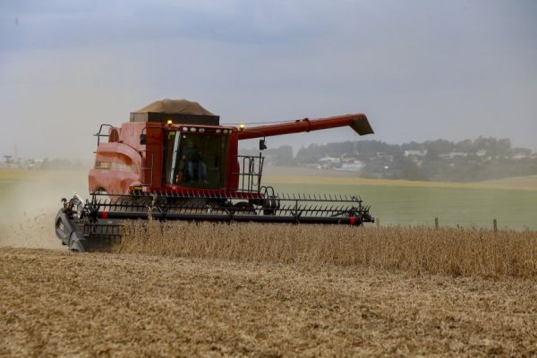 Com 46,3 milhões de toneladas, safra 22/23 do Paraná alcançou volume recorde