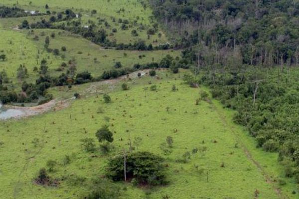 Termina nesta sexta entrega da Declaração do Imposto Territorial Rural