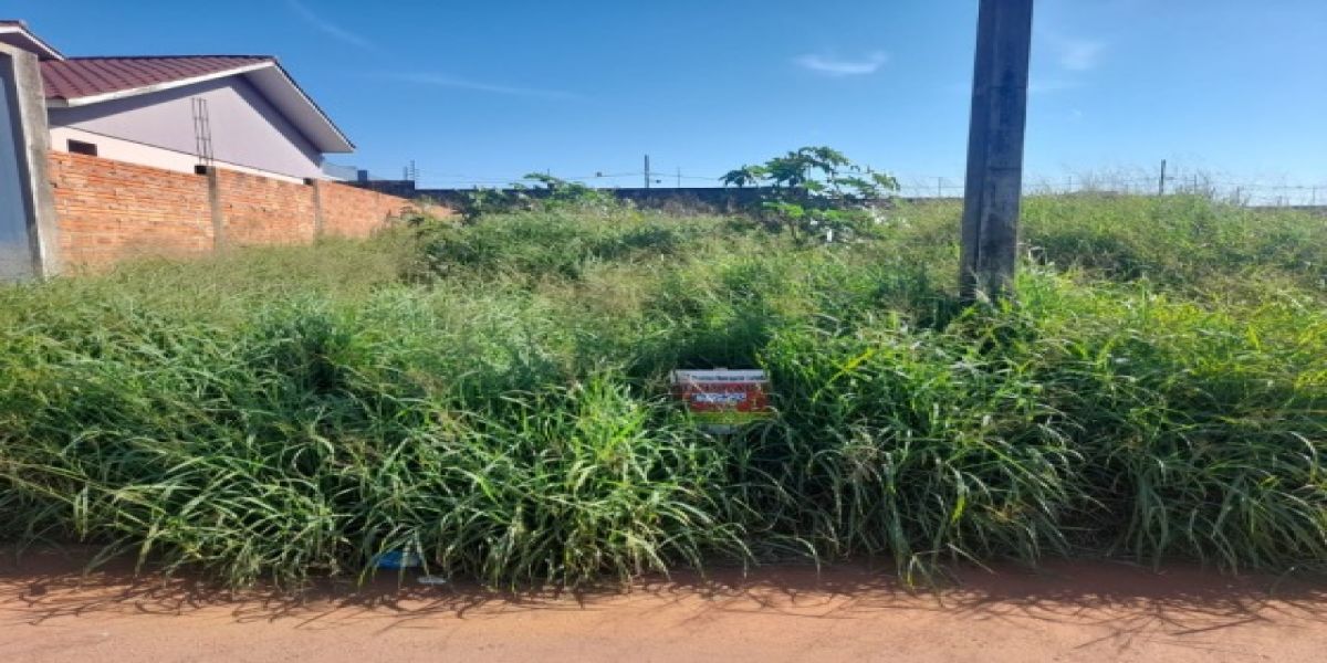 Prefeitura de Corbélia alerta proprietários para limpeza de lotes urbanos, mais de 380 já foram notificados em 2023