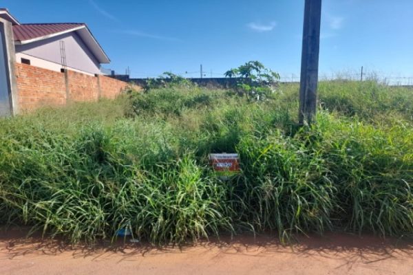 Prefeitura de Corbélia alerta proprietários para limpeza de lotes urbanos, mais de 380 já foram notificados em 2023