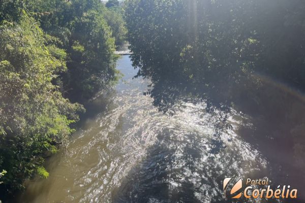 Equipes do Corpo de Bombeiros de Cascavel iniciam buscas por jovem desaparecido em área de mata